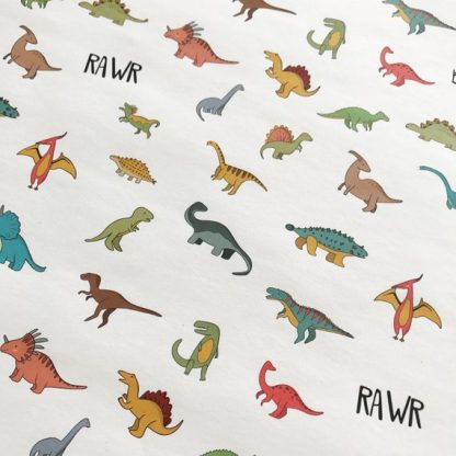 Dinosaur Gift Wrap